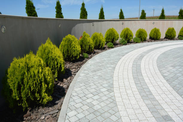 Best Commercial Driveway Pavers  in University Park, MD